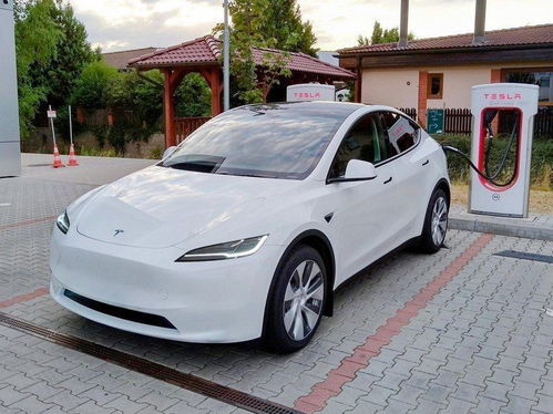 特斯拉Model Y L车型即将震撼登场，9月上市引关注