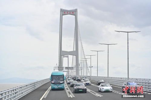 车辆行驶在深中通道