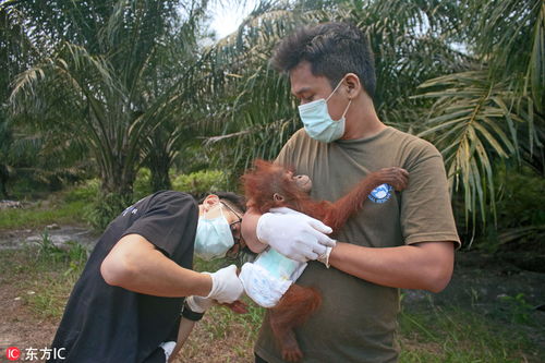 获救女孩被救援画面
