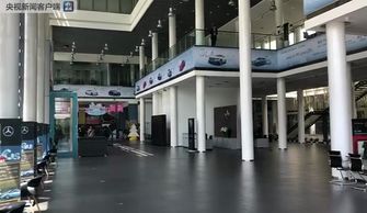 多地暂停汽车‘国补’，背后究竟有何隐情？