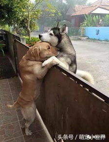 迟蓬在剧中蹲着烧柴的情景