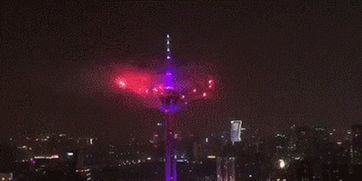 世运会闭幕焰火：成都夜空再绽璀璨之花