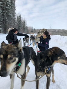 美乌会谈聚焦关键问题，俄乌局势能否迎来转机？