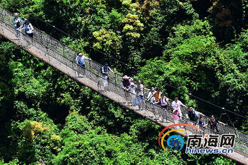 人们在清凉的环境中游玩