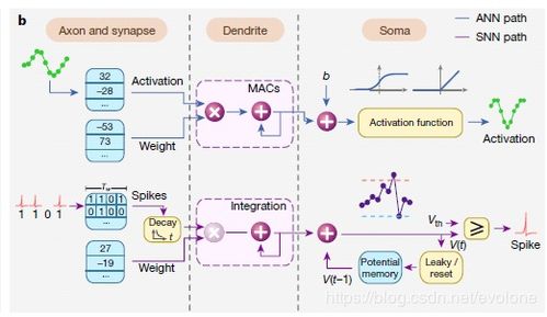 震惊！华为芯片核心技术竟被窃取，背后黑手浮出水面