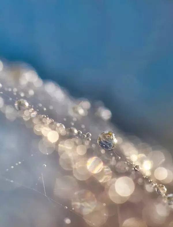 子夜归乡，李沛恩的奇妙之旅