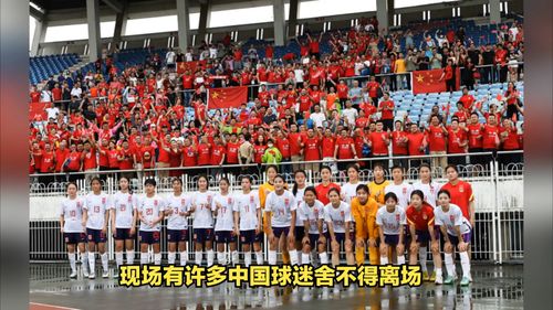 亚洲杯决赛现场座无虚席