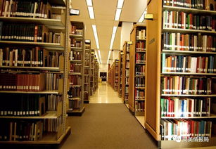 清华博士庞众望：命运多舛仍勇往直前