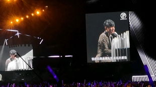 田一名音乐会听众齐喊退票，背后真相令人深思！