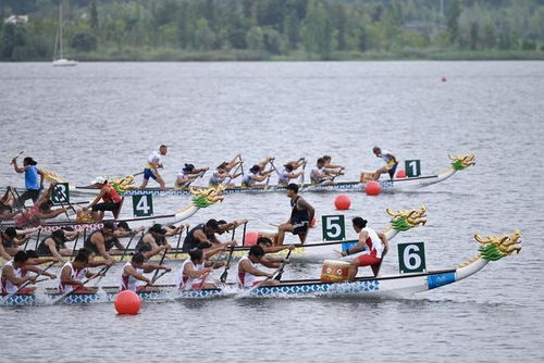 体育强国建设：耀眼的成绩单背后的故事