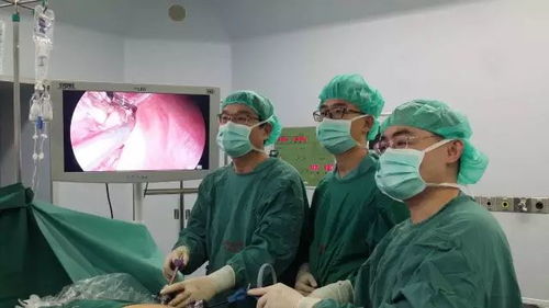 医生们专注手术