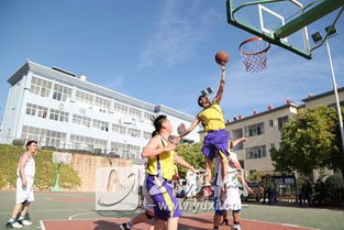 男篮女篮主帅选人用人对比，谁更胜一筹？