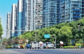 高温破纪录！出伏后的热度还能持续多久？