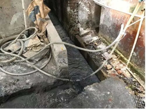 山东一企业被控传销冻结近亿元资金，背后真相令人震惊！