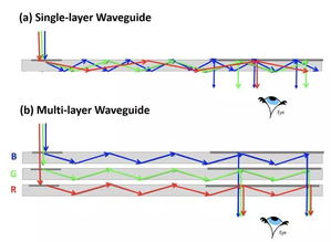 牛肉变彩虹色别慌！这些原因让你不再担心