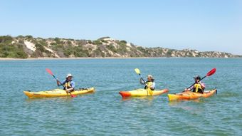 中国夫妇加拿大探子，一家三口独木舟落水悲剧