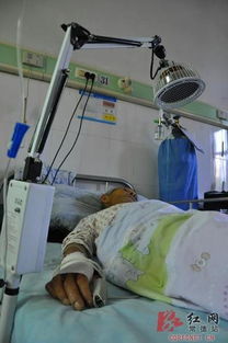 老人上山采蘑菇遇毒蛇，惊魂一刻险丧命！