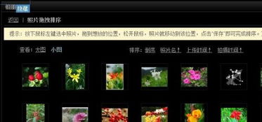 图库相册排序示意图