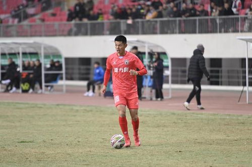 体育总局局长：重拳出击！整治足球发展乱象迫在眉睫