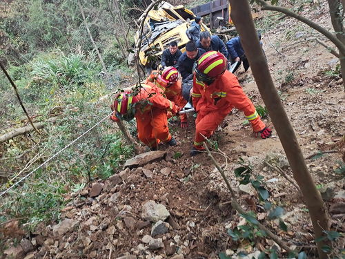车辆冲下山崖后的惨状