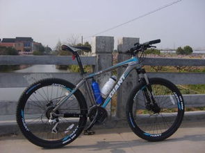 自行车降价潮来袭，各品牌纷纷大跳水