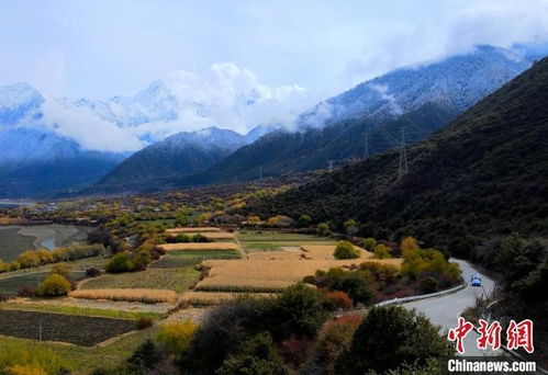 西藏乡村的美好画面