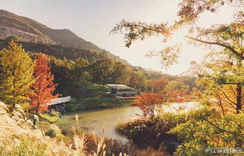 全国最矮的山竟然这么迷你！