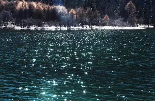 母亲河生态蜕变：向‘绿’前行的壮丽画卷