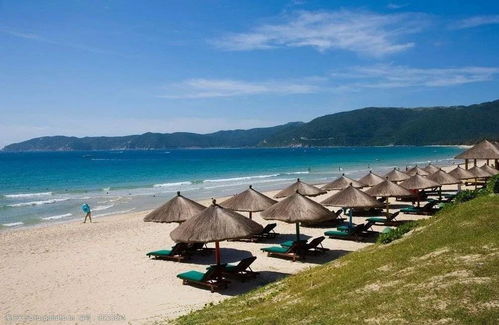 海南一地研究生学历月薪仅三千？背后真相大揭秘！