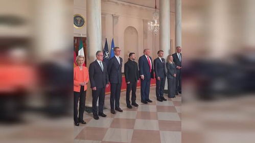 泽连斯基与欧洲领导人合影