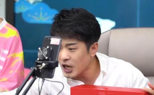 辛巴接受采访时的画面