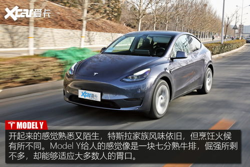Model Y L测试车谍照