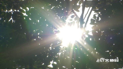 今日出伏啦！三伏天正式告别我们