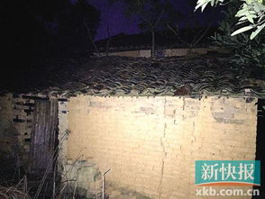 《心安何处》今日开播，日本遗孤的真实生活引人深思