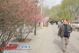 居民在公园散步