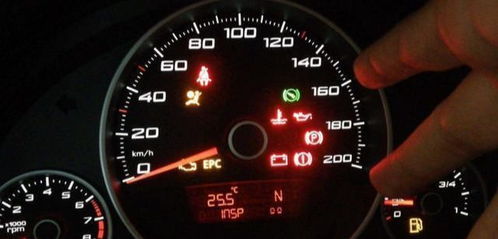 车主怒怼加油站！50升油箱硬塞67.96升汽油，真相惊人