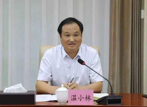 温小林在中央巡视期间落马，背后有何隐情？