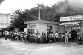 求职者顶着烈日排队