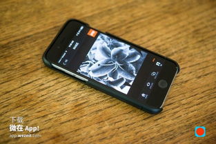 德国外长拿中国稀土管制说事，背后有何玄机？