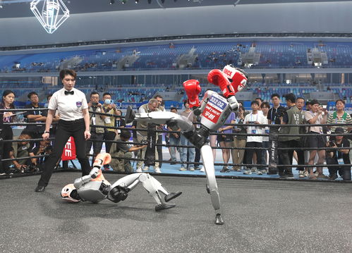 机器人比赛现场