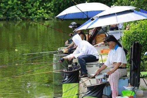 鱼竿被鱼拖走，男子下河捞竿溺亡！惨剧背后警示多