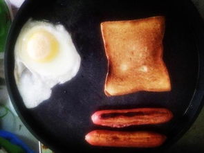 《爸爸当家》：那些被爱浇灌的温馨瞬间