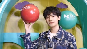 胡先煦自制节目竟似《花儿与少年》副本？