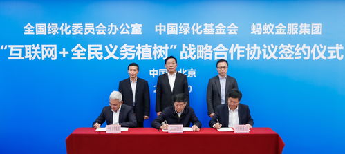 人们在蚂蚁森林植树