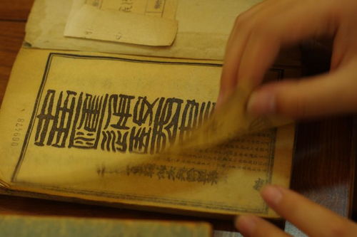 人的一生，总要留下点什么——我的人生思考之旅