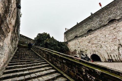 钟南山忆儿时南京经历：日军轰炸下的苦难岁月