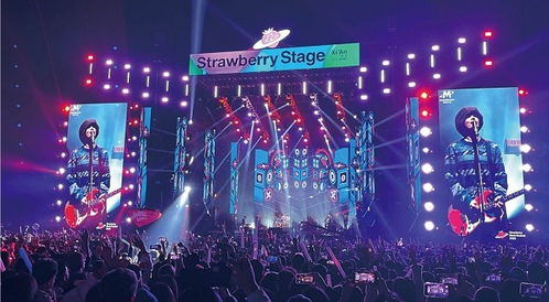 QQ音乐三专背后的商业较量与粉丝文化