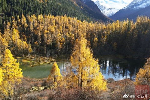 传习录：那心系雪域高原的情怀