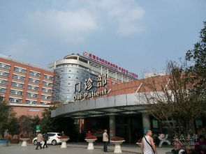 李亚鹏嫣然医院被执行1381万背后的故事