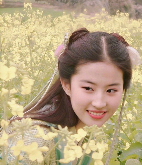 网传刘亦菲肖战或将合作，高颜值CP能否成真？